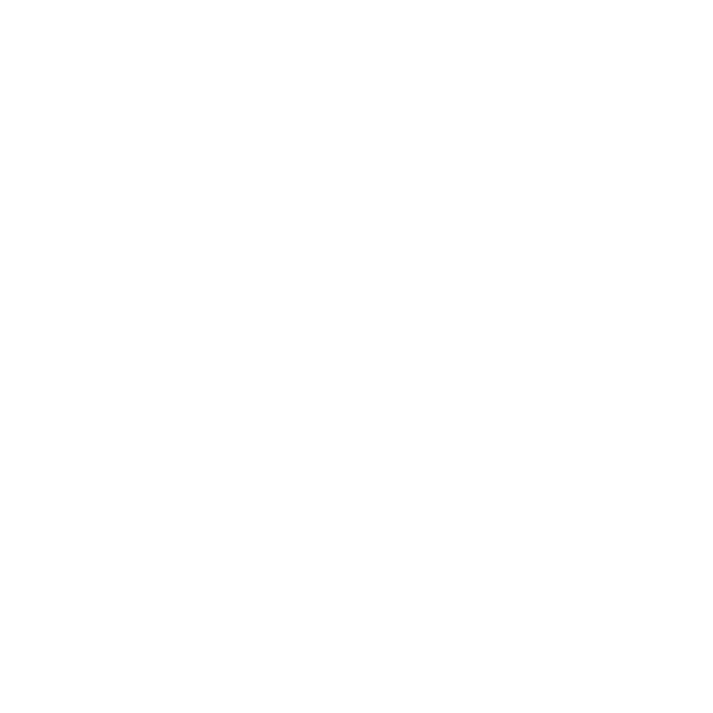 Peak Management Inc