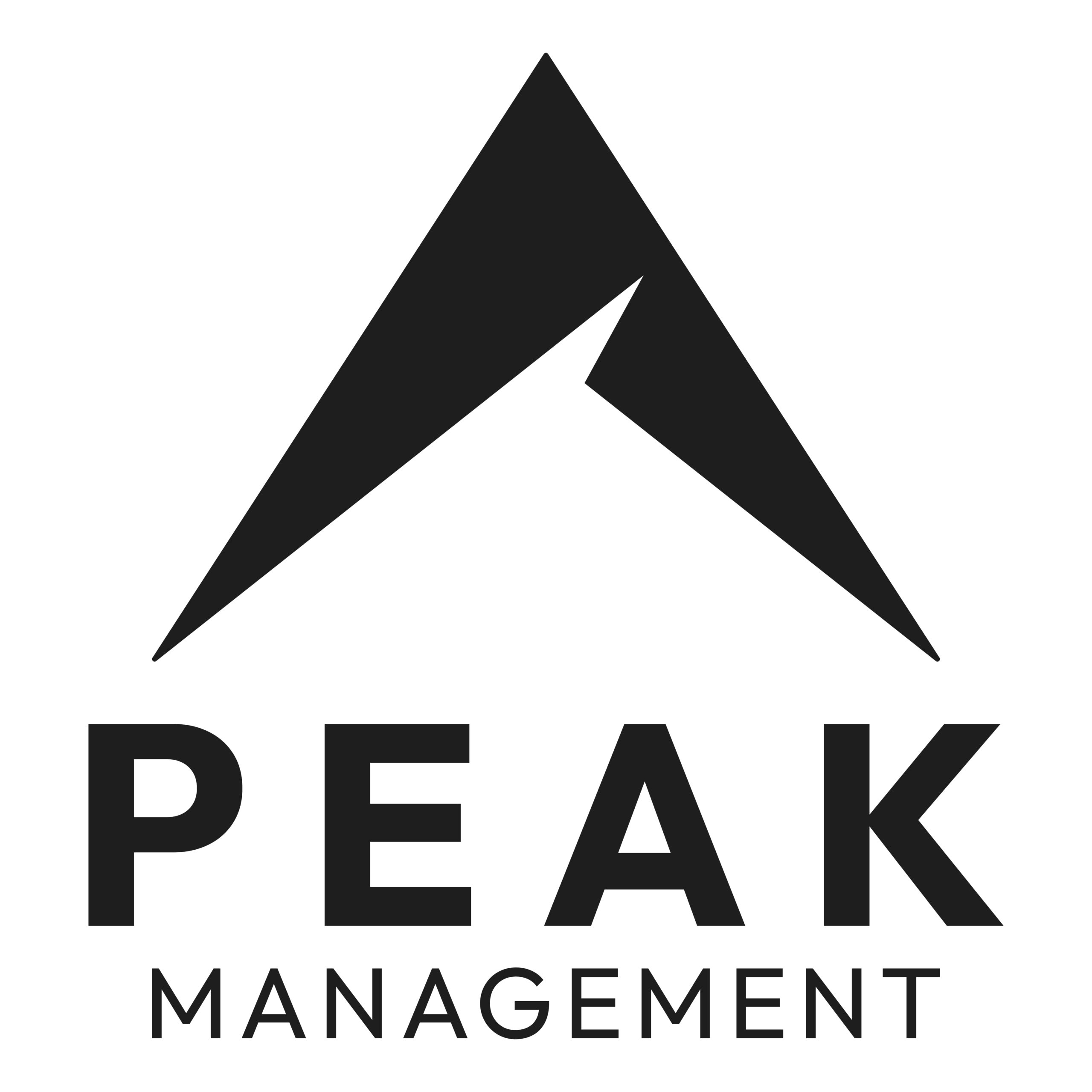 Peak Management Inc